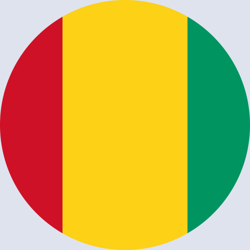كتابة أسماء على علم غينيا
