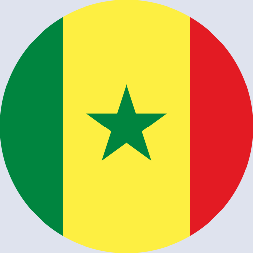 كتابة أسماء على علم السنغال