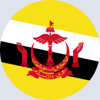 كتابة أسماء على صورة علم بروناي