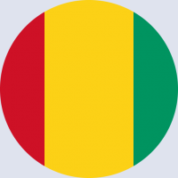 كتابة أسماء على صورة علم غينيا