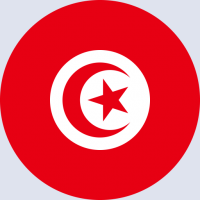 كتابة أسماء على صورة علم تونس